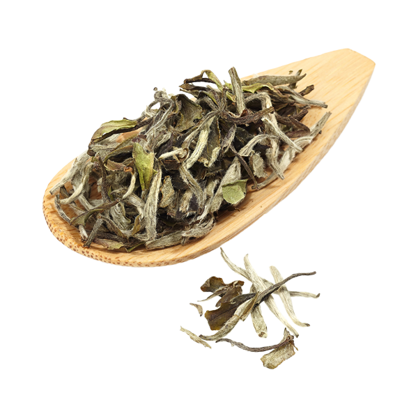 Premium Peony White Tea